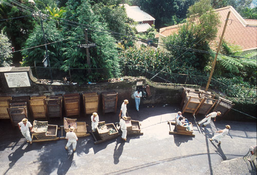 Madeira, Funchal