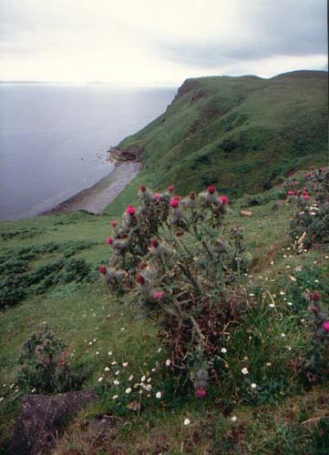 Isola di Skye