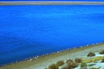 Penisola di Valdez