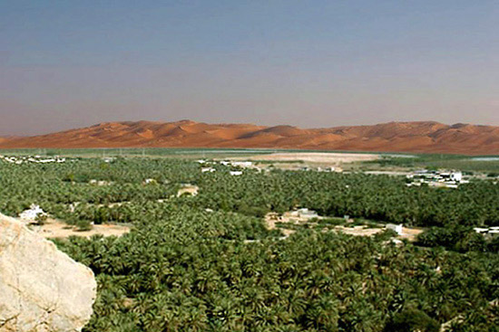 Oasi di Liwa