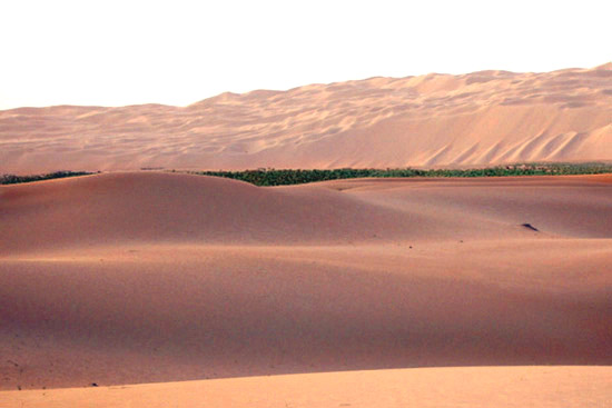 Oasi di Liwa