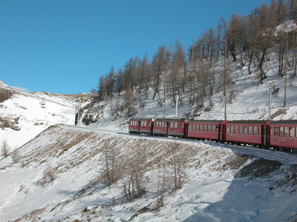 Alp Grum