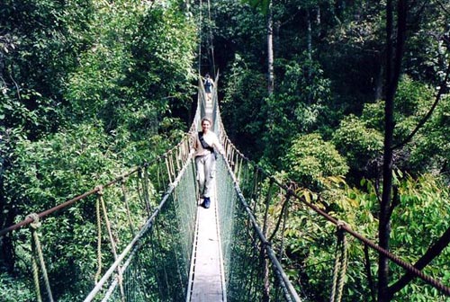 Taman Negara