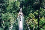 Taman Negara