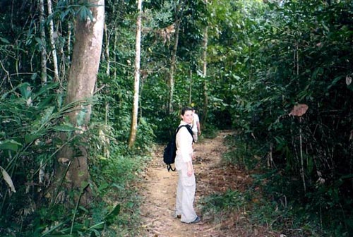 Taman Negara