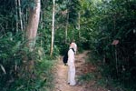 Taman Negara