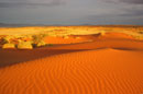 namibia