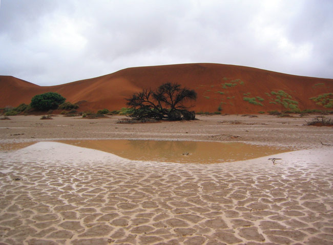 Sossusvlei, dopo la pioggia