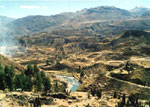 Colca Caon