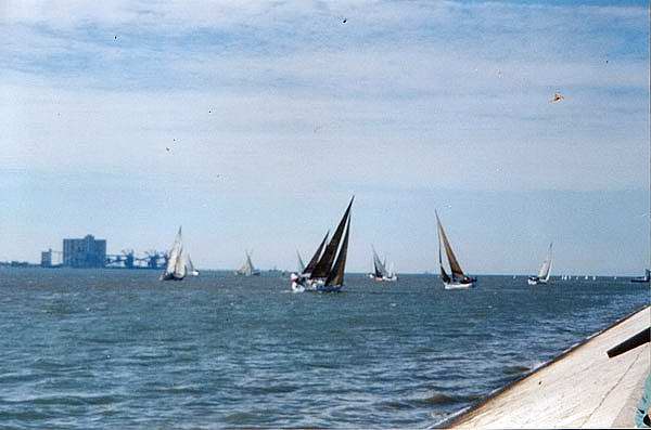 Lisbona, regata sul Tago