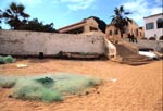 Goree web