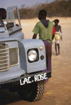 Lacrose