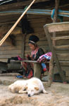 thailand woman