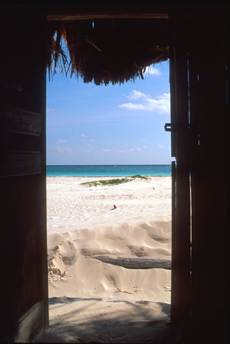 tulum cabaas don armando