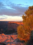 Spider Rock