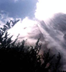 Salto Angel