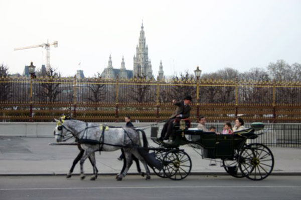 Vienna Municipio