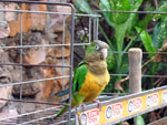 Chapada Diamantina