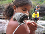 Chapada Diamantina