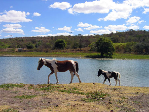 Chapada Diamantina