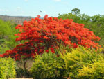 Fazenda-Pratinha 