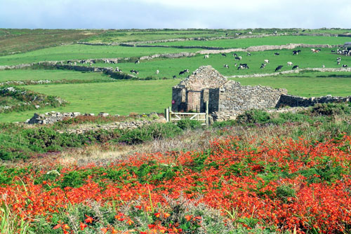 Pendeen