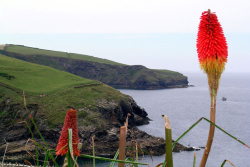 Port Isaac