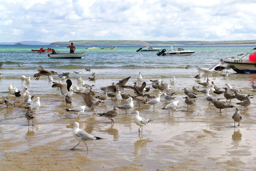 St Ives
