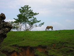 interno penisola Nicoya