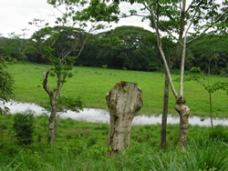interno penisola Nicoya