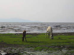Lago Nicaragua