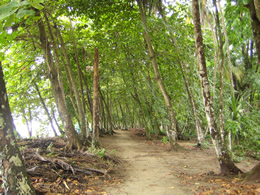Puerto Viejo