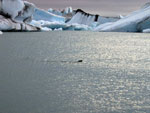 Jokulsarlon