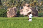 hampi