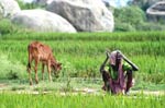 hampi