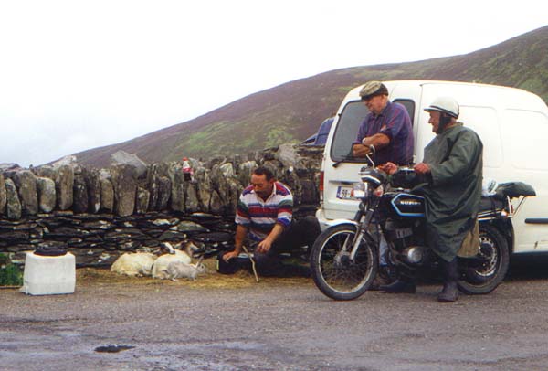 Ring of  Kerry