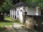 Duyung 