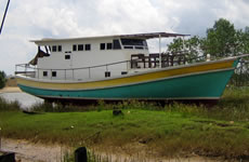 Pulau Duyung