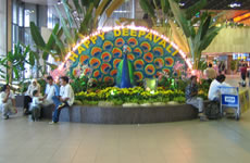 Changi Airport