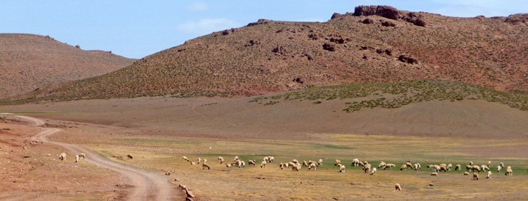 marocco bicicletta