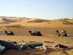 Merzouga