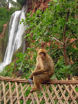 Cascate di Ouzoud