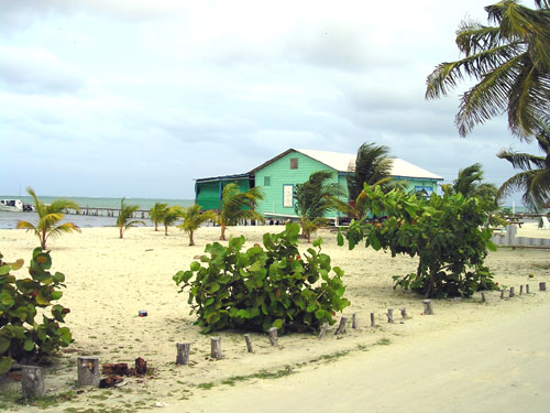 Caye Caulker