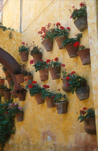 San Miguel de Allende