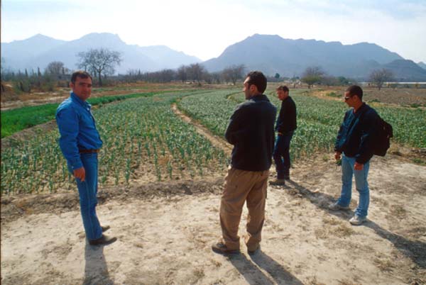 monterrey rinconada