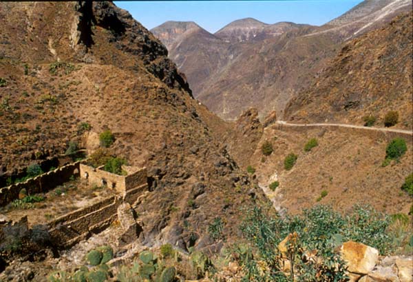  real de catorce verso il deserto