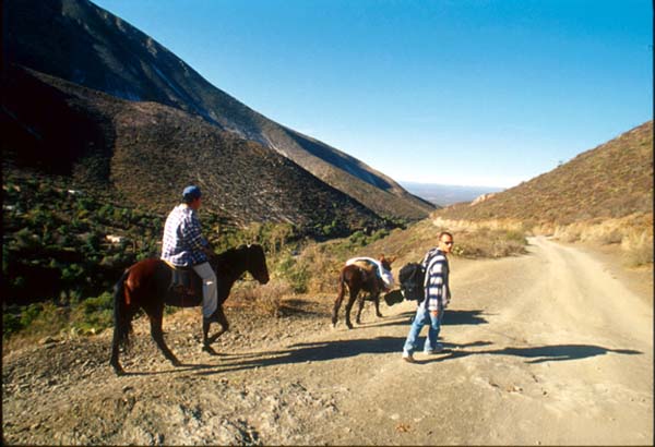 real de catorce verso il deserto