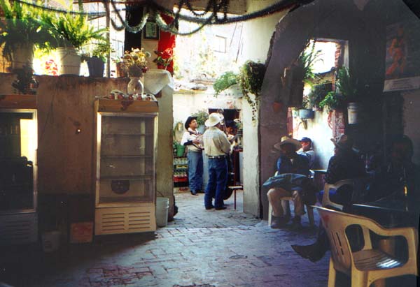 san miguel de allende