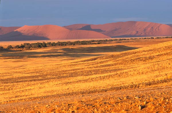 Sossusvlei