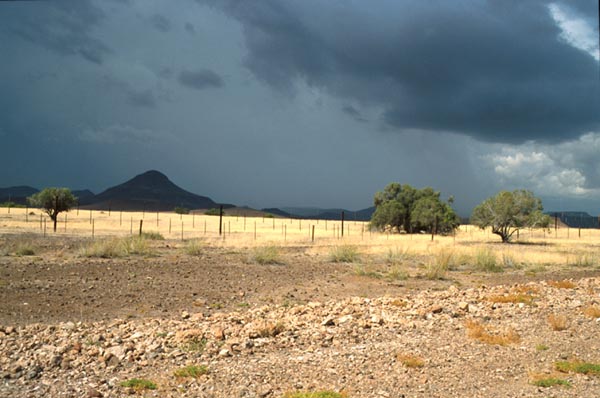 Damaraland